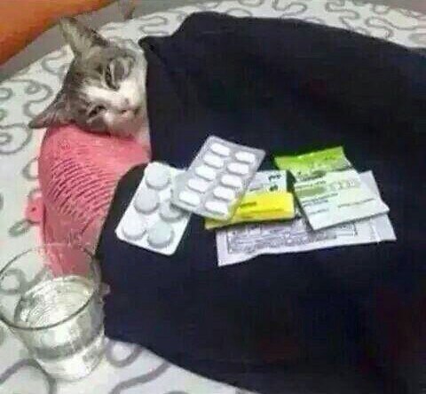 Ужасы и приколы из соцсетей