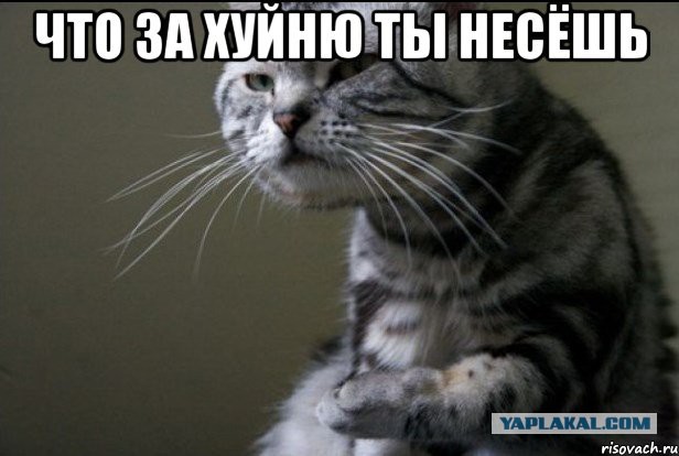 Турчинов призвал НАТО сбивать военные самолеты России