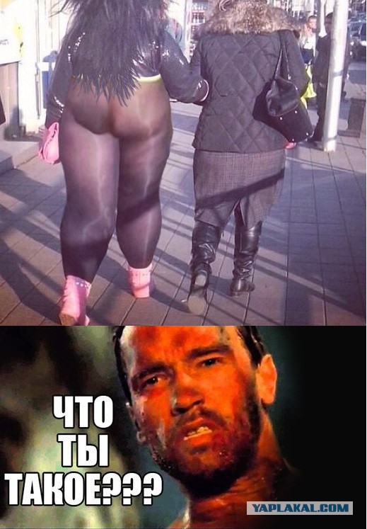 Шаловливый ветерок или что нас ждет летом