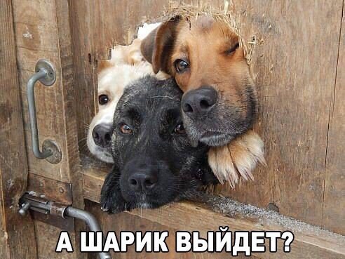 Картинки с надписями