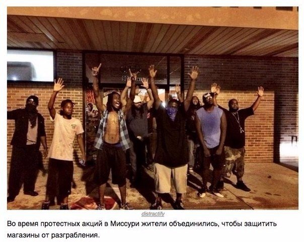Прикольные картинки из интернета