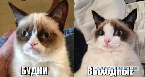 Субботний картиночный винегрет