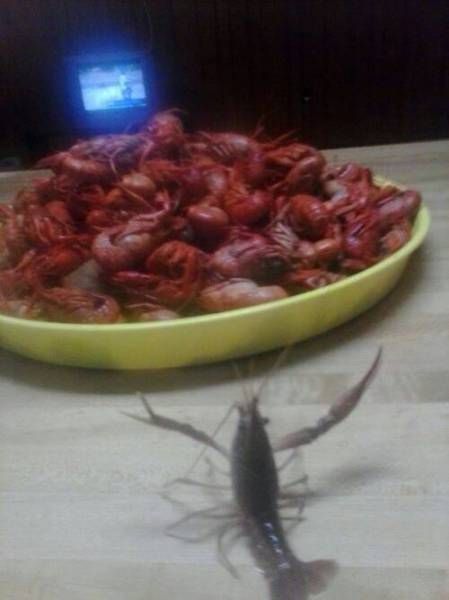 Пятничные ерундушки