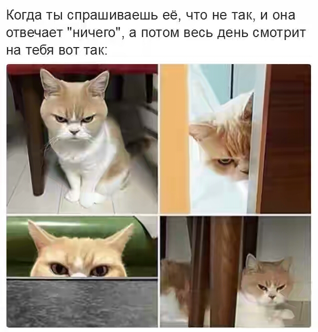 Картинки с глубочайшим жизненным смыслом