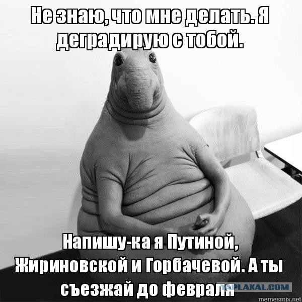 Немного деграданса