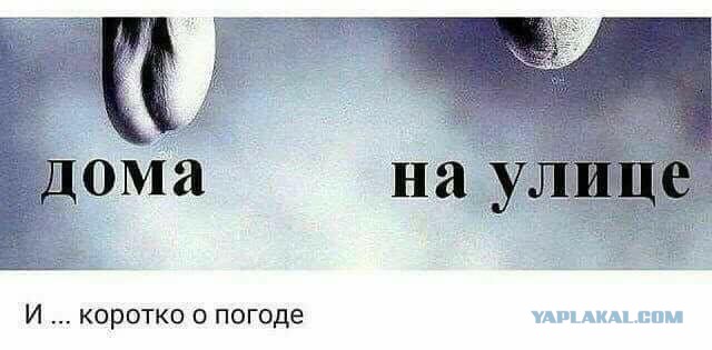 Давно мы не мизантропизировали...
