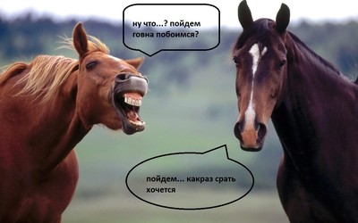 Кормить семью должен мужчина