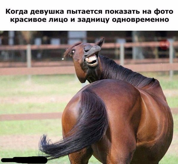 Подборка интересных и веселых картинок