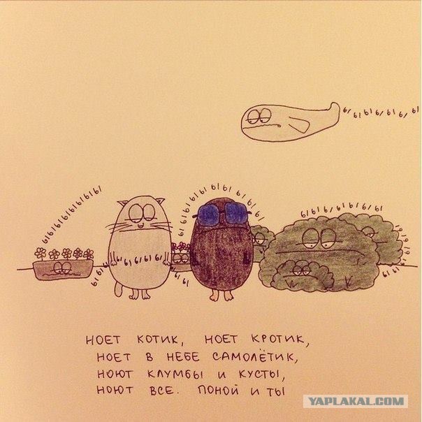 Щас вы меня заминусите.....