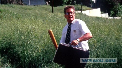 К новым вершинам