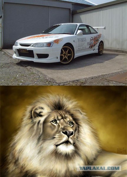 Клички у автомобилей