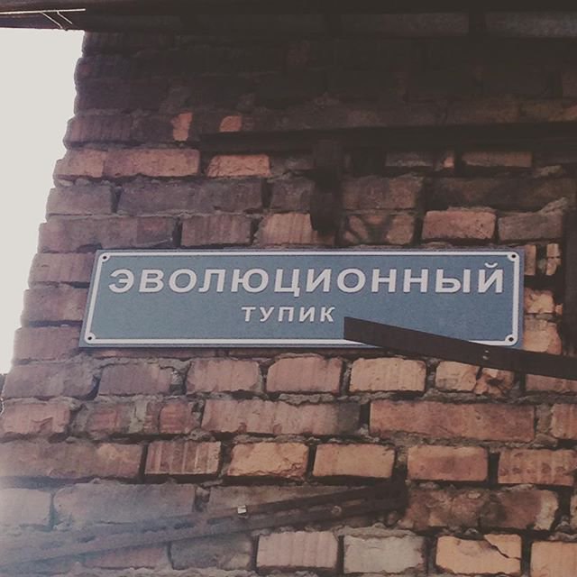 Лёгкое психическое отклонение ч5. Картинок пост 16+