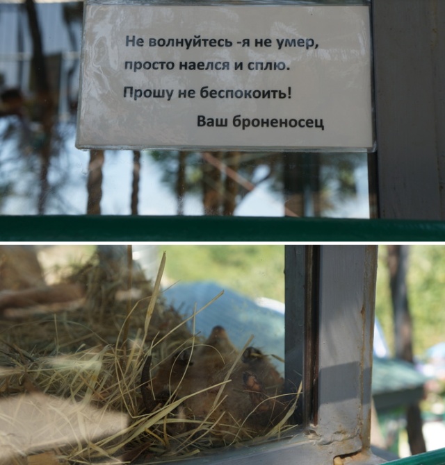 Прикольные надписи и объявления