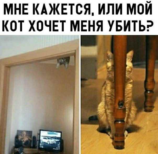 Немного картинок на вечер