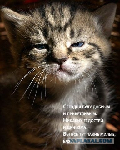 Да отстань ты!
