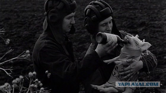До Луны и обратно: куда "летали" американцы 50 лет назад