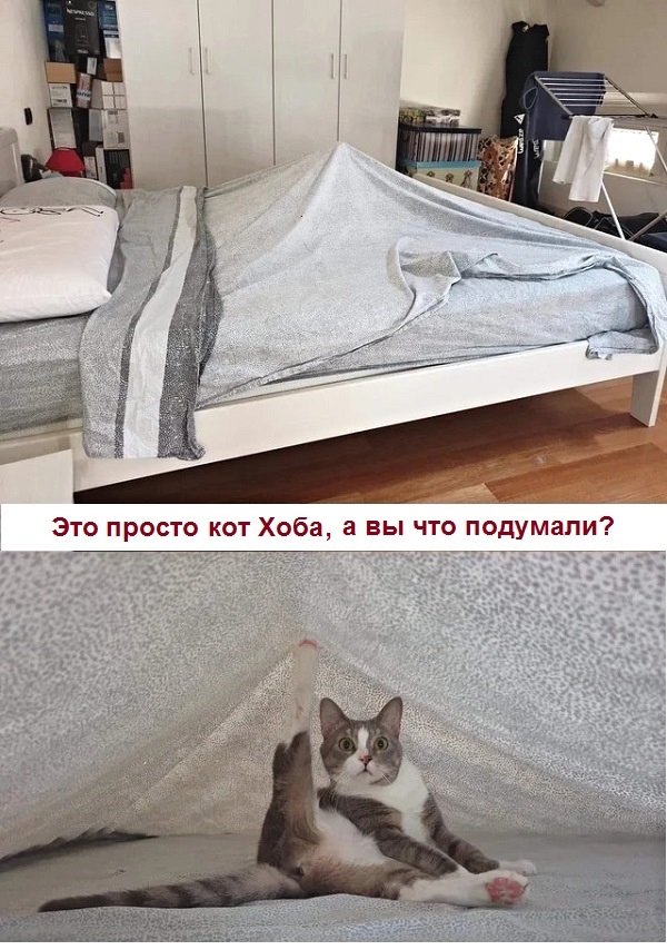 Картинки с надписями, истории и анекдоты