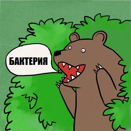 Две бактерии развлекаются под микроскопом