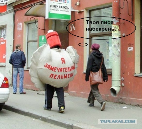 А я пельмень