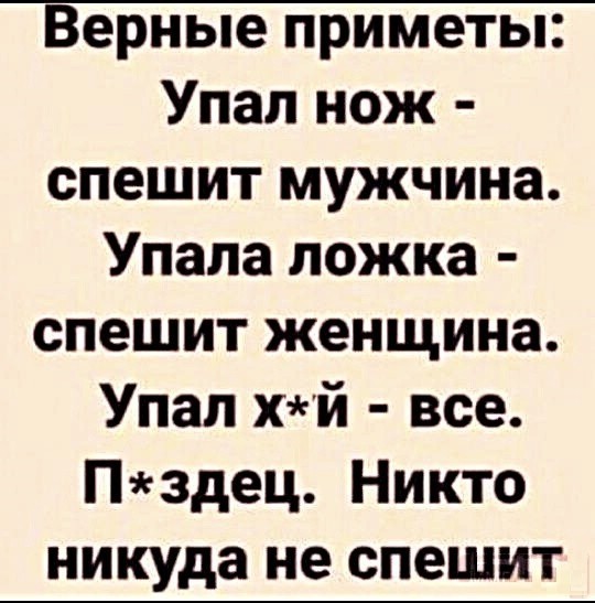 10 лет брака псу под хвост