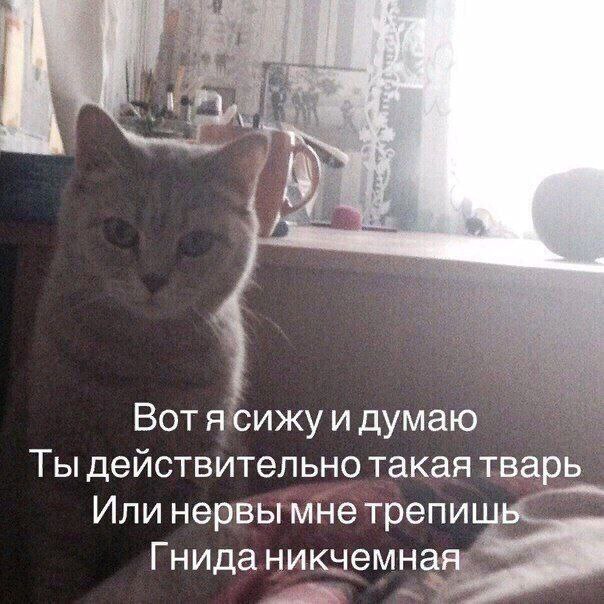 Шесть. Десят.