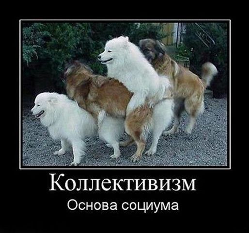 Демотиваторы древние.