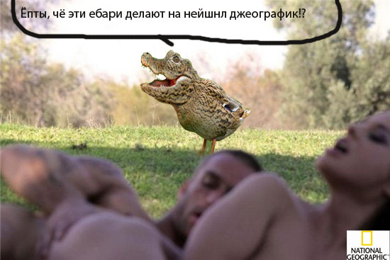 Фотожаба: Тут медвед не проходил?
