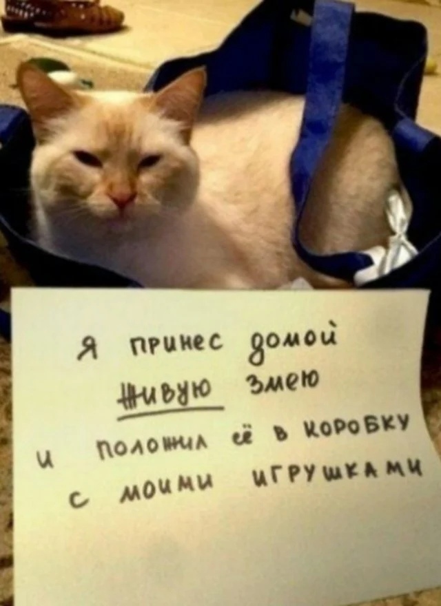 Подборка забавной живности