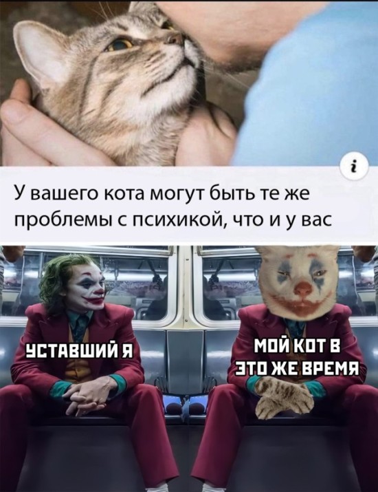 Картинки и мемы для настроения 002