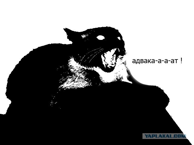 Фотожаба: Что с котэ?