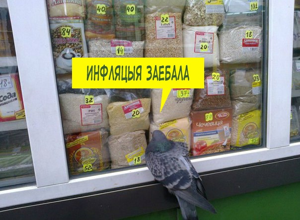 Баянисто-небаянистый юмор 15.02.21