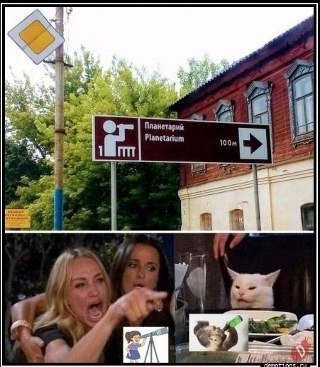 Всяческие картинки 15.07.2021
