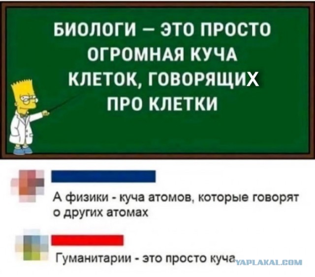 Картинки и мемы для настроения 11.08.2021