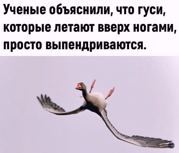 Так себе картинки 15.08.21