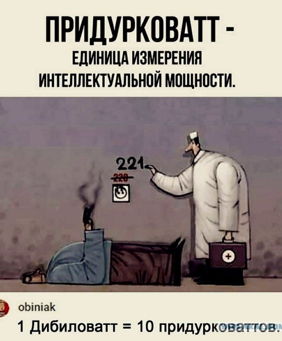 5 января в Зиминском районе Иркутской области пятеро охотников готовились убивать животных