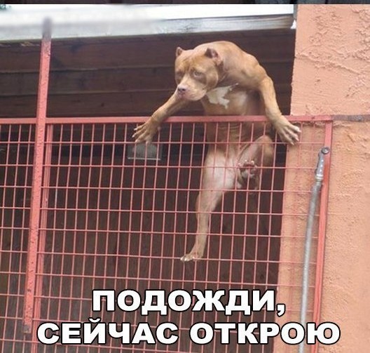 Границы существуют только в головах людей!