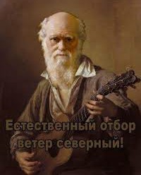 Дарвин заинтересованно наблюдает