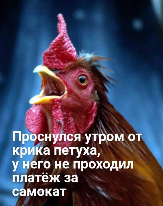 Картинки аморальные и всякие разные - 42