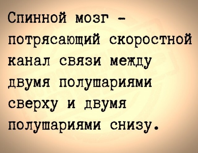 50 оттенков серого или самосвал баянов. Vol.27