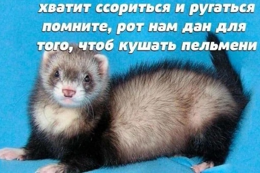 Немного картинок для настроения