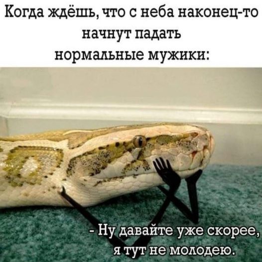 Чёрно-пошлый вторник
