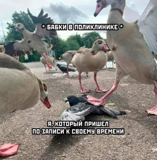 Так себе картинки 06.05.23