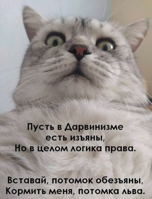 Так себе картинки 14.06.23
