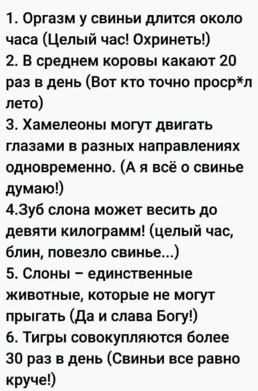 Набрел на склад баянов. Налетай