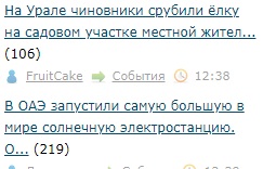 На Урале чиновники срубили ёлку на садовом участке местной жительницы, чтобы установить дерево на главной площади города Миньяр