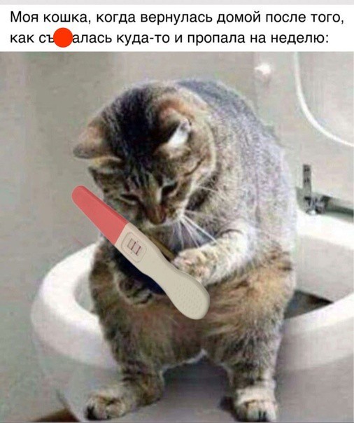 Всего понемногу. От 19.01.24