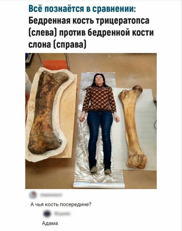 Куча веселых картинок