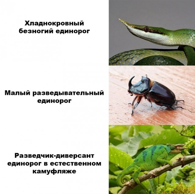 Завалялось тут случайно немного забавных картинок