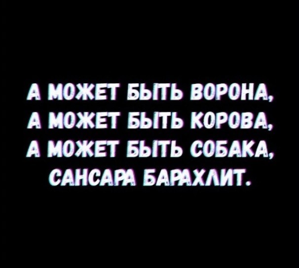 Прикольные и просто красивые картинки 22.11.2024