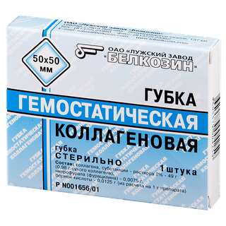 Кот нанес смертельную рану мужчине в Ленобласти